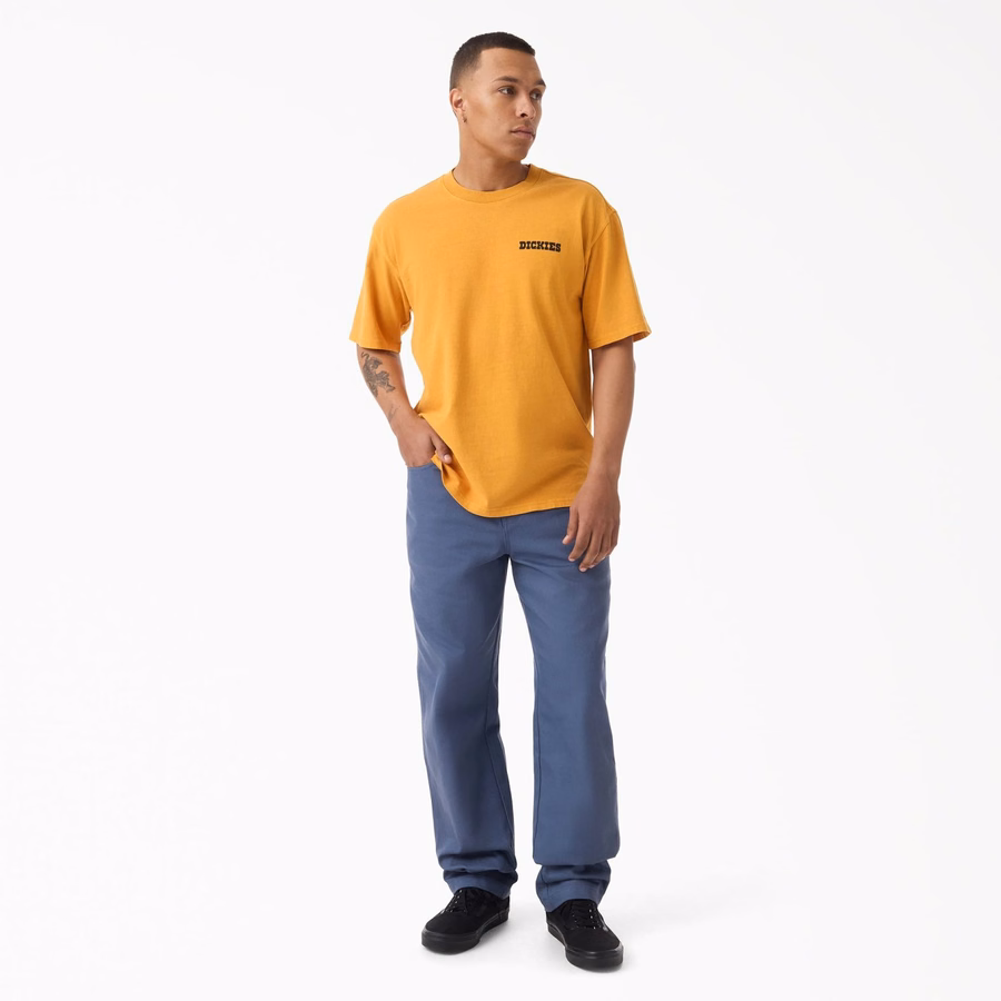 Παντελόνι Wellsville Baggy Tapered Twill