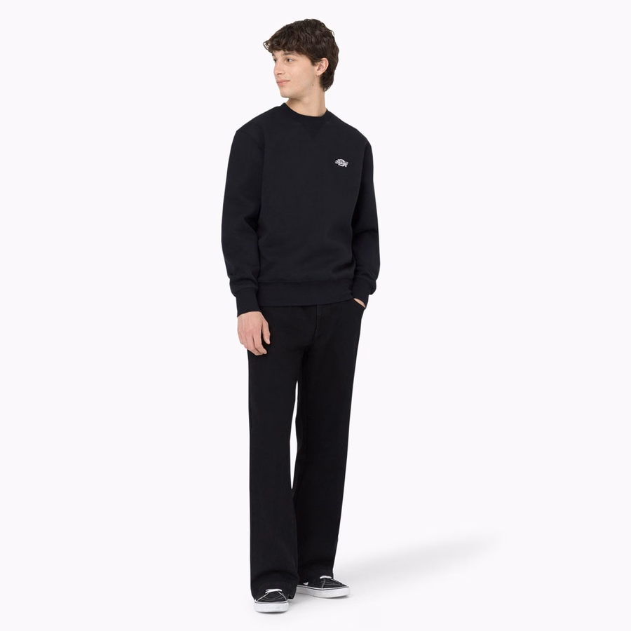 Τζιν Dickies Skateboarding Wingville Loose Fit