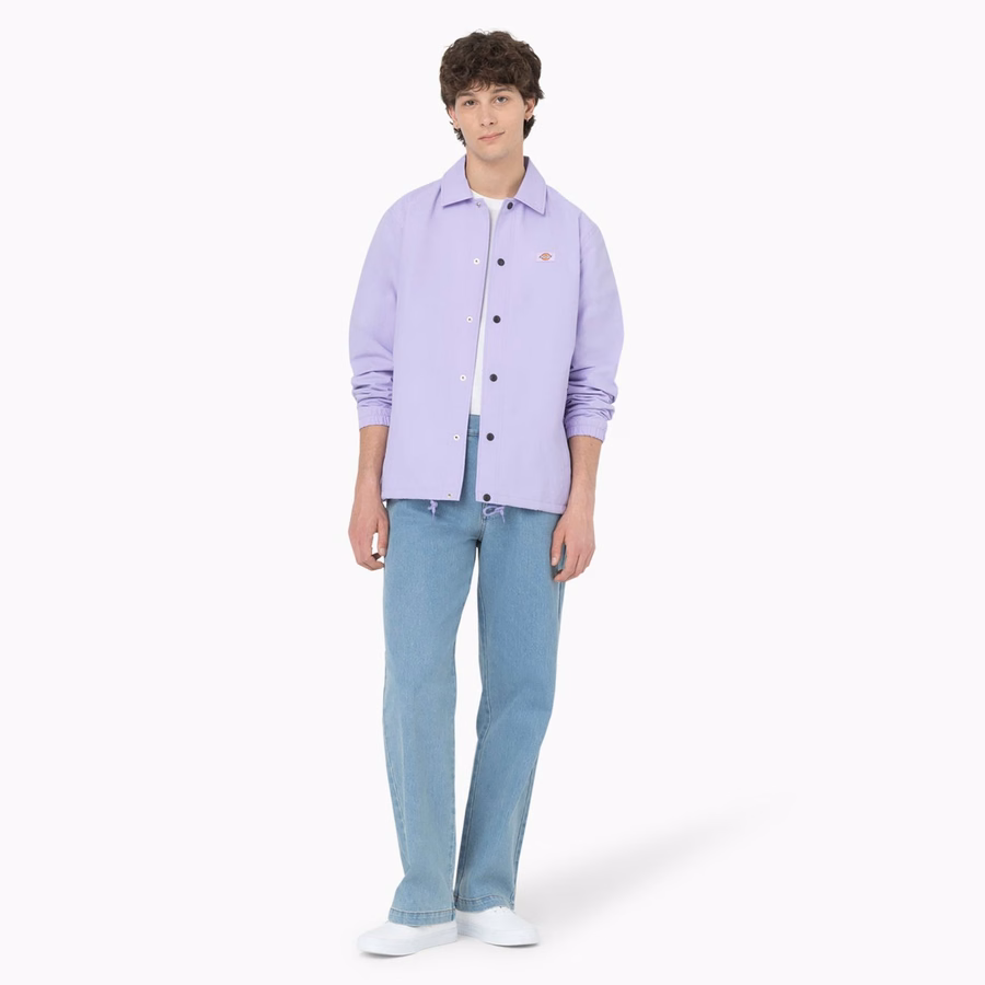 Τζιν Dickies Skateboarding Wingville Loose Fit